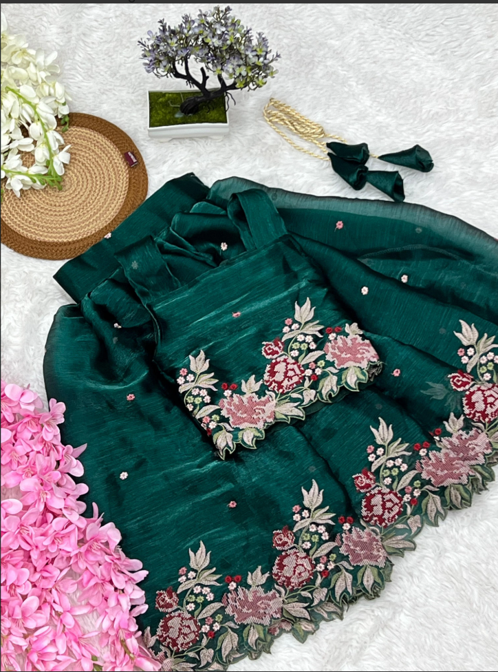 Innovative Jimmy-chu Beautiful Embroidery work Fabric Lahenga Choli